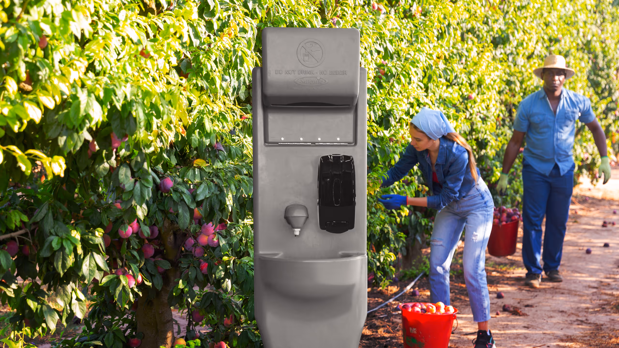 A handwashing station in an orchard, with workers picking fruit in the background.