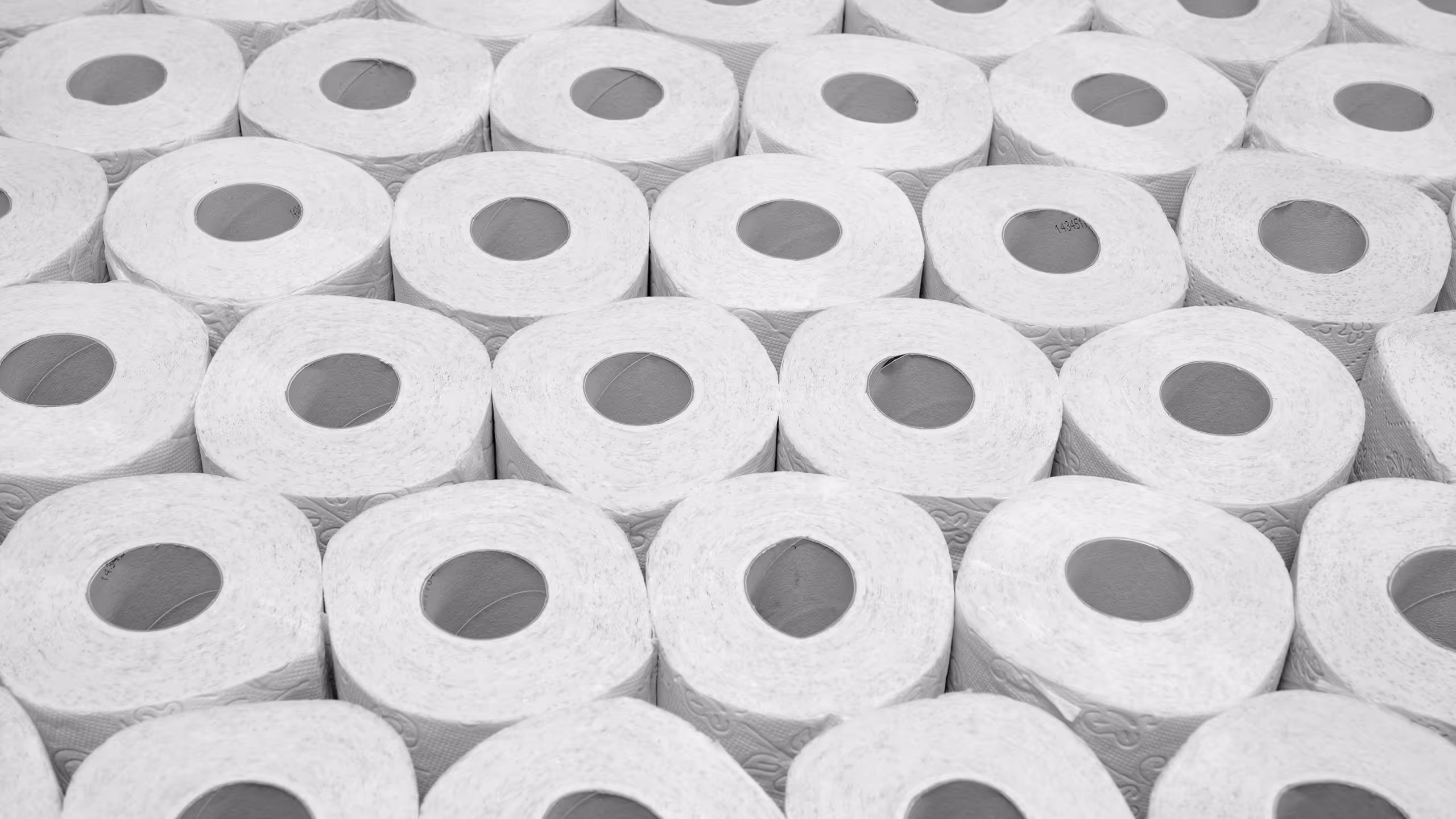 Several rolls of white toilet paper arranged in a grid pattern, showcasing their circular openings.