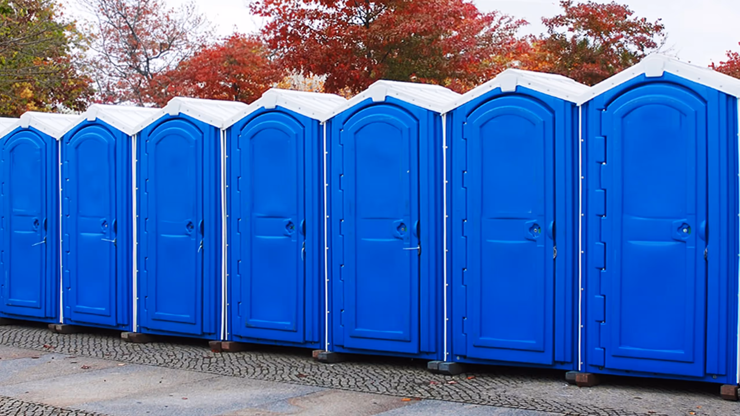 Row of blue portable toilets with white roofs lined up outdoors on pavement with autumn trees behind.