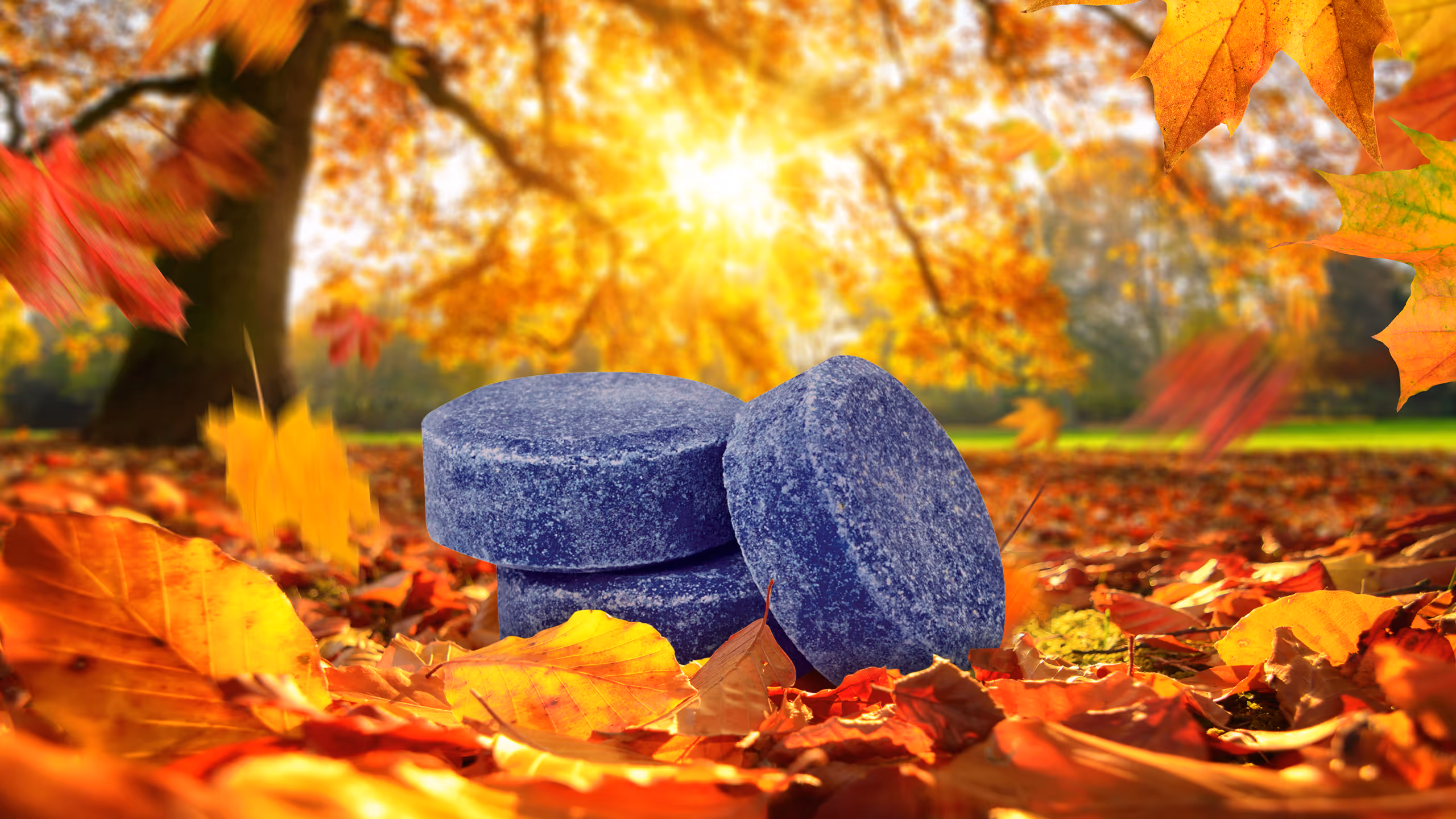 Blue round deodorizer blocks among orange and yellow autumn leaves on the ground with sunlight.