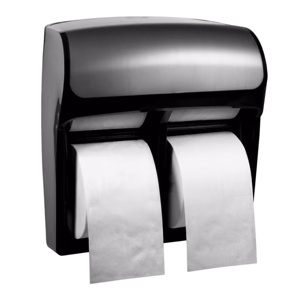 Wall-mounted stainless steel double-roll toilet paper dispenser with white paper rolls.