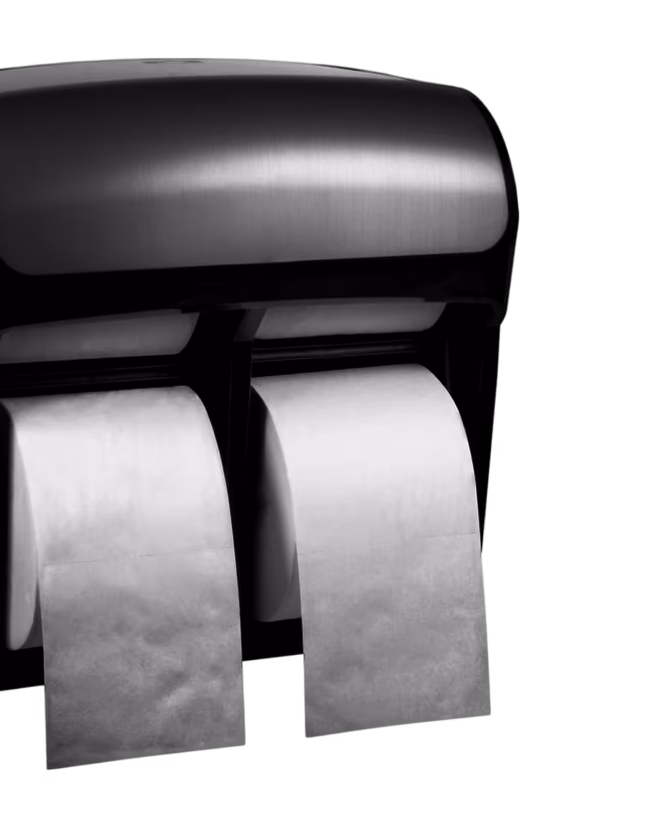 Stainless steel double-roll toilet paper dispenser with two white paper rolls.