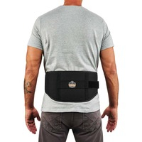 Back Support ProFlex 1500