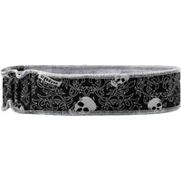 Headband- 6605 HP 6ct Skul