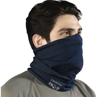 Mask- Navy FR Multi-band