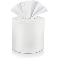 Paper Towel-2 ply/6 Rolls/Ctn