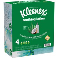 Tissue- 3Ply LN Wht 60/BX 4/PK