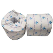 Bath Tis- 2Ply Vir 500 96/CS