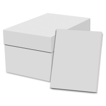 Copy Paper- 92 10 RMS/CS 500P