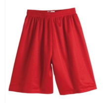 APPAREL- MESH SPORT SHORTS