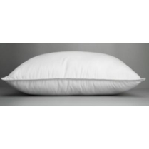 Pillow- 20x30 Queen Conjugate