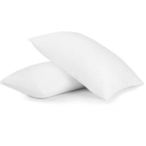 Pillow- 20x30 Queen Newport