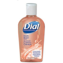 Hygiene- Hair+Body Wash 24/CS