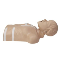 CPR - D Demo Manikin