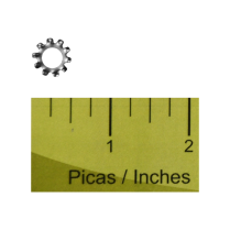 Washer- 1/4 Star SS